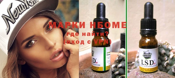 дживик Пестово