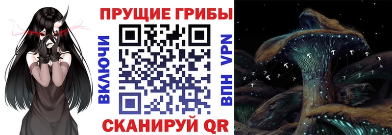 Псилоцибиновые грибы Magic Shrooms  Верхняя Салда 