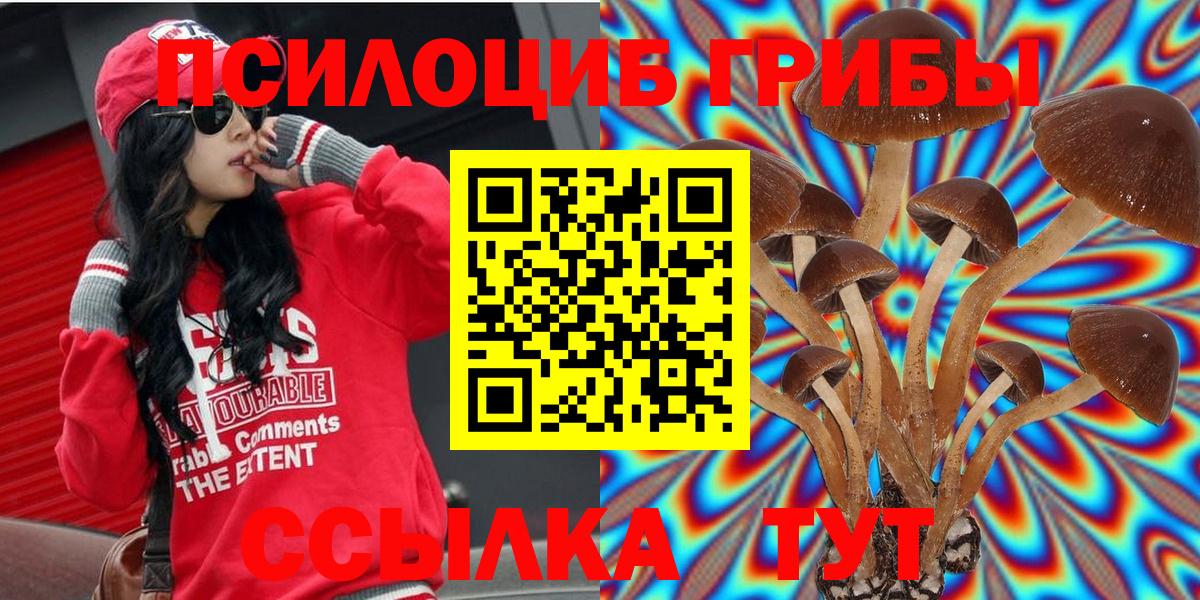 Псилоцибиновые грибы MAGIC MUSHROOMS  Вход с VPN  цены   Верхняя Салда 